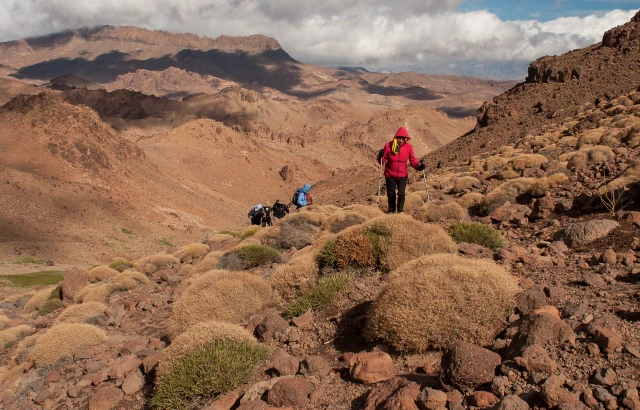 Discover the Majestic Jbel Sirwa with Toubkal Tours