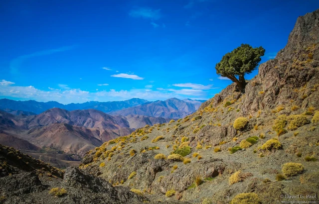 Journey into Amazigh Valleys  3-Day High Atlas Mountains Trek